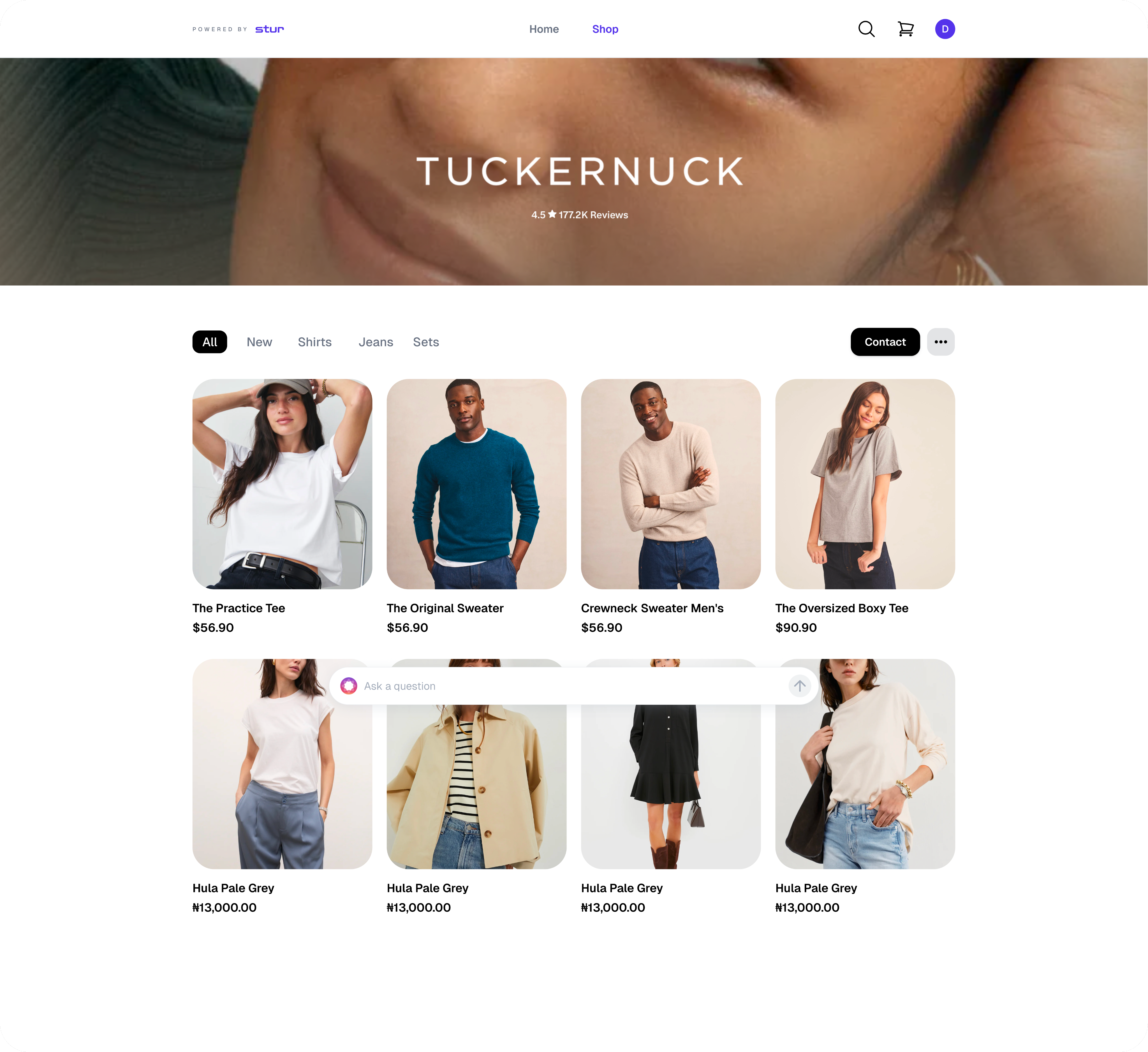 Stur storefront UI preview